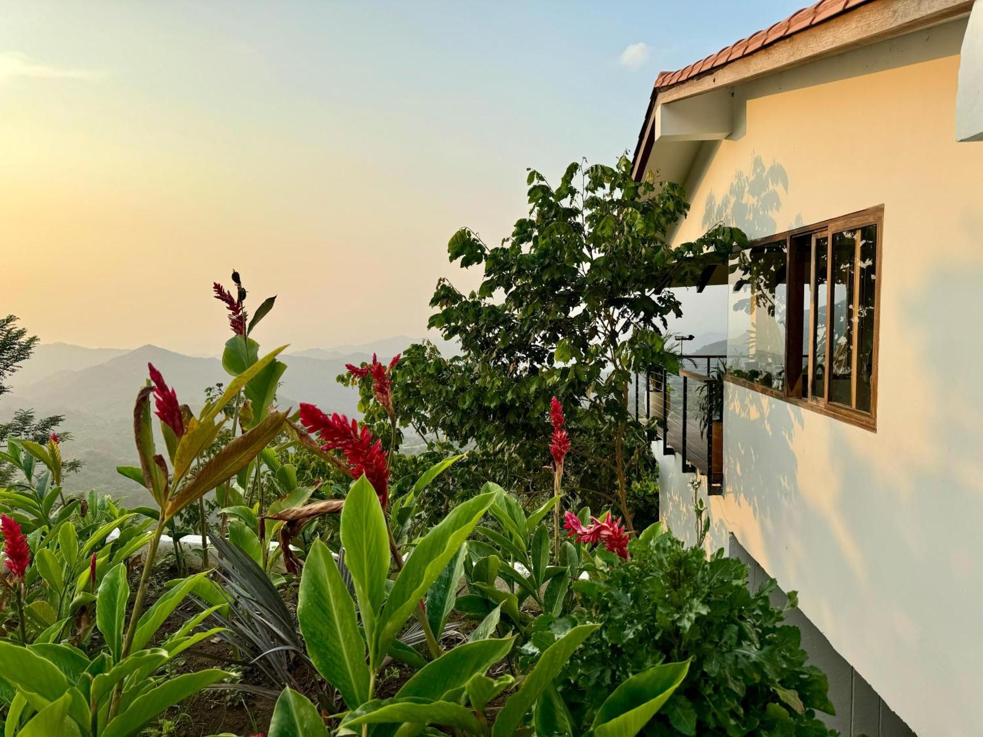 Villa Canopy Минка Екстериор снимка